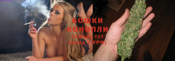 трава Белая Холуница