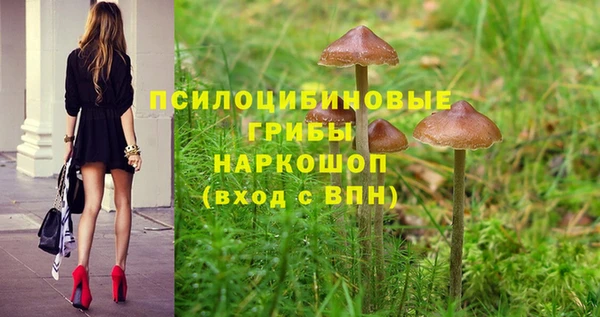 ALPHA-PVP Елизово