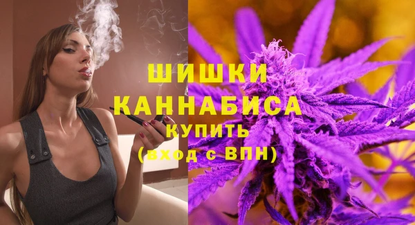 таблы Ельня