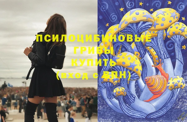 таблы Ельня