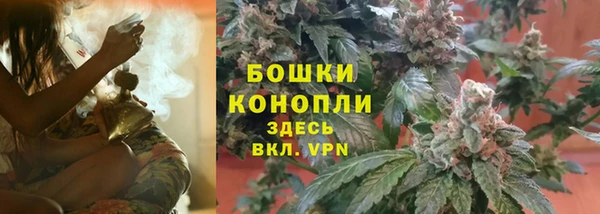 ALPHA-PVP Елизово